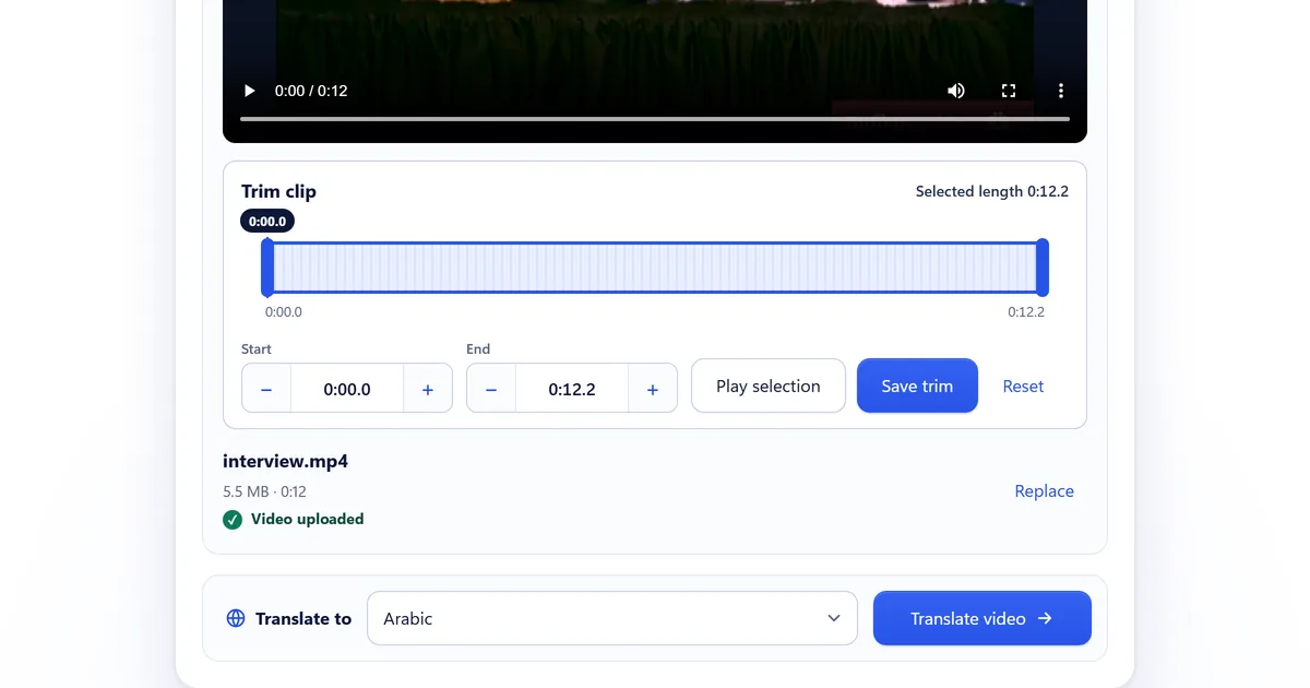 The Vid Hub upload screen with a video added and Arabic chosen under Translate to, next to the Translate video button.